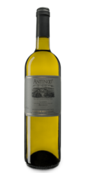 Antinoo IGT Casale Del Giglio 0,75l