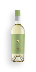 Pinot Grigio IGP Farnese Fantini 0,75l