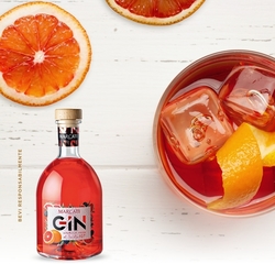 Gin Arancia Rossa di Sicilia IGP 0,7l Marcati