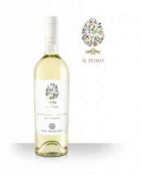 Sauvignon Malvasia Il Pumo Salento IGT Cantine San Marzano 0,75l