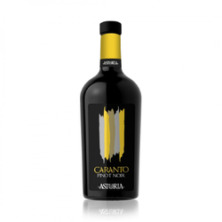 Pinot Nero Caranto IGT Astoria 0,75l