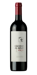 Bolgheri Guado Al Melo Rute DOC Podere Guado Al Melo 0,75l